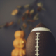 American Football with fall leaves and pumpkins. Football Season